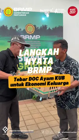 Antusiasme masyarakat tampak di wajah-wajah bahagia penerima DOC ayam KUB gratis di BRMP Agrifest hari ketiga! BRMP Agrifest hadir di tengah masyarakat untuk berbagi harapan dalam membangun ekonomi keluarga dari sektor peternakan. Setahun BRMP, setahun menebar manfaat nyata bagi masyarakat! #BRMPAgrifest #SetahunBRMP  #PertanianModern