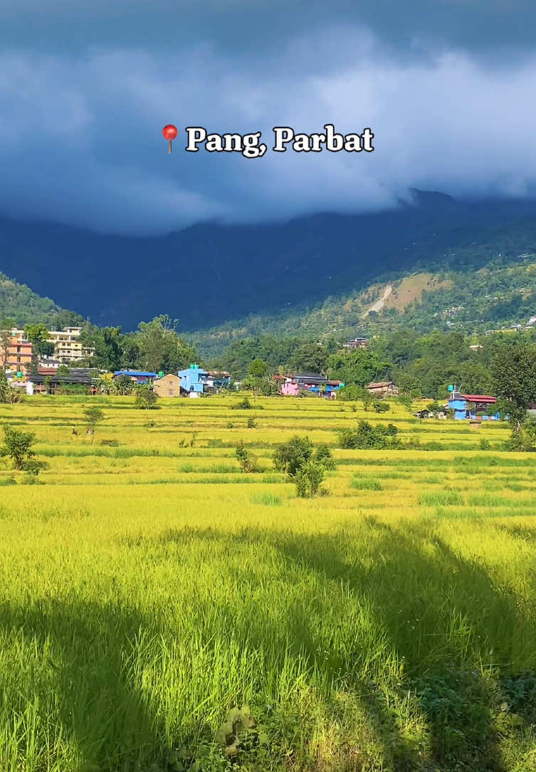 50% Viewers हरूको मामाघर यहीँ हुनु पर्छ पक्का 😅 📍Pang, Parbat #pangparbat #parbatmuser #fyp #nepalioldsong #parbat 
