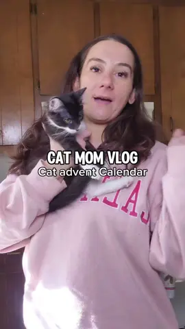 wanted to share some joy. please comment a pic of your fur babies. hope you had a great day #tinasrecoverytok #catadventcalendar #cats #kittens #christmas 