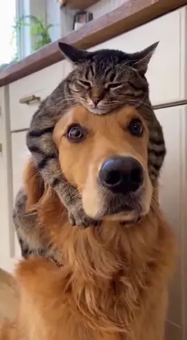 Yep… that’s totally me