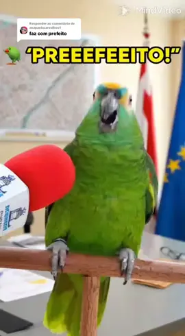 Respondendo a @anapaulacarvalhoo1 kkkkk#prefeitoresponde #humorbrasileiro #vídeoengraçado #comédiabr 