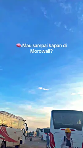 ?#morut#morowali#lewatberandafyp#foryou