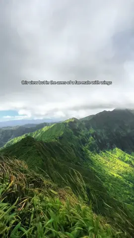 a girl can dream 😪 #BookTok #acotar #romantasybooks #fantasybooktok #hopelessromantic 