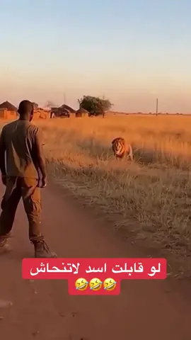 لو قابلت اسد#الرياض #viral #fyp #لايك #اكسبلور 