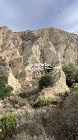 Spent my veterans Day hiking, because apparently I didn’t do enough of it in the Army. 