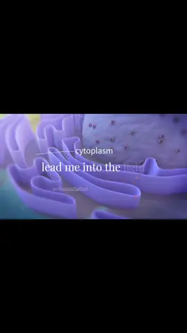 Different DNA #animalcell #fyp #plantcell #viral #biology 