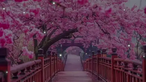 Surah Al-Qalam (complete) Most Beautiful Quran Recitation by Sherif Mostafa  #surahqalam #surahalqalam #fyp #foryoupage #beautifulquranrecitation  views Problem everyone Repost Request 🙂 قرآن مجید کی تلاوت ۔۔