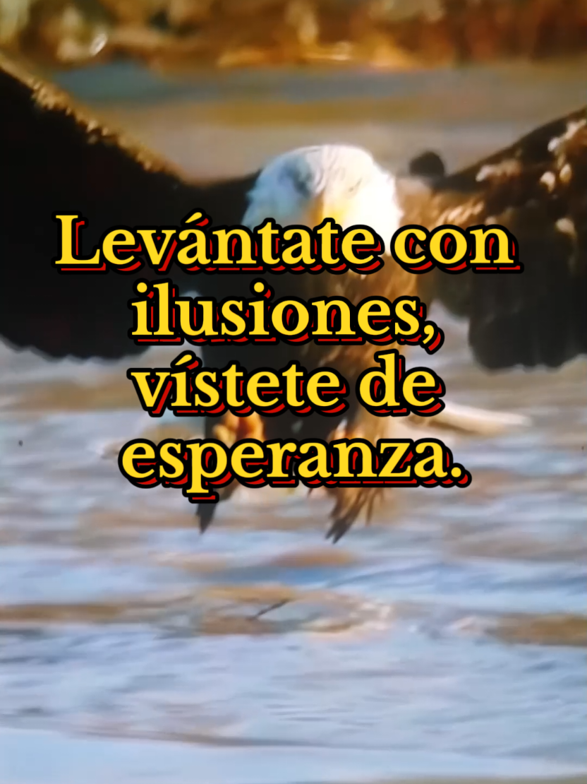 frases motivación hoy levántate con ilusiones camina con fe vive con amor de DIOS #frases #motivacion #fe #amor #parati 