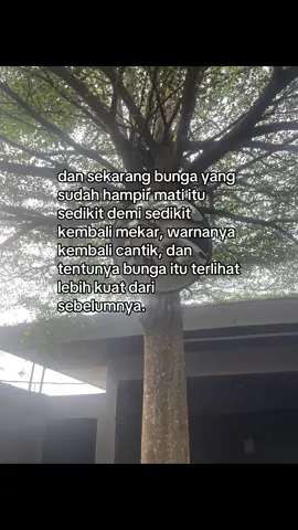 #pulih #kembali #fyp #fyppppppppppppppppppppppp #4upage 