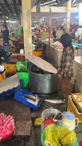 Làm Út Linh hết hồn hả mày #truytimlongdienhuong #quangtuan #nguyenthao #marando #actionc 