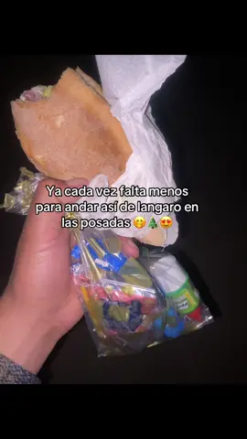 Ya casii🎄🫣🙌🏻#posadasnavideñas #navidad 