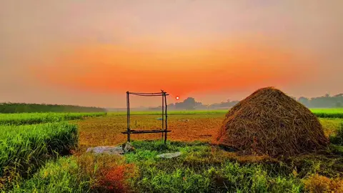 ––মৃত্যু তোমাকে একদিন একদম নিস্তব্ধ করে দেবে 😥🌿😟 #Foryou #terding #bdtiktokofficial #ইসলামিক_ভিডিও_🤲🕋🤲 #প্রকৃতি @TikTok Bangladesh @TikTok 