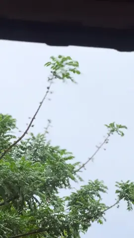 Gios roxinha 😍💜 #estilobh #bikedograu #gios #bike #bikelife 