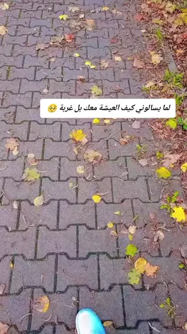 #المانيا🇩🇪 #غربة ##اشتقتلك🥺💔 