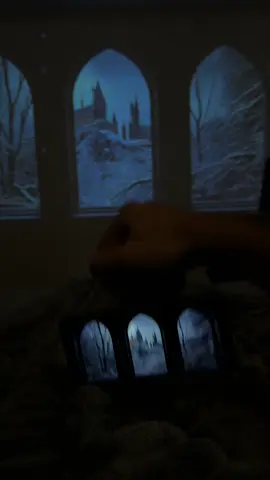 I finally bought that projector 😍 #projector #fakewindow #viral #gift #christmas 