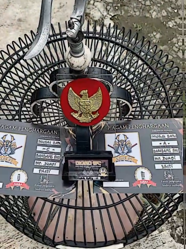 sing tenang🤙🏻🔥 #muraibatu #muraibatuindonesia #muraimania #kicaumania #fypage 