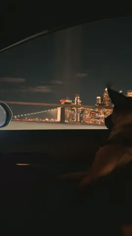 Bruce loves bridges  #nyc #skyline #fyp 