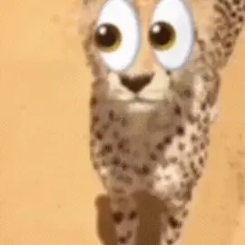 cant find the og sound whatever. lazy edit of lets take a look. || #observing #letstakealook #edit #fyp #xyzbca 