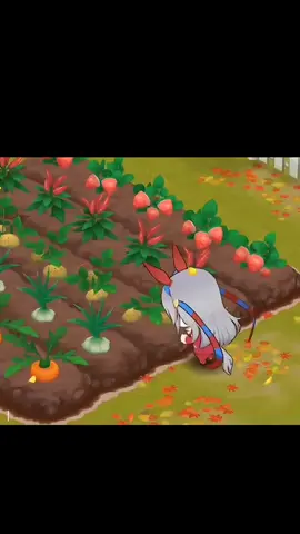 Don't do it #umamusume #umamusumeprettyderby #umamusumecinderellagray #tamamocross #fyp 