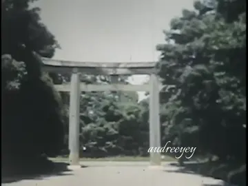 Great grandfather #1950s 