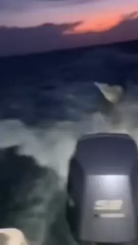 Mermaids chase fishermen?! #aliens #alien #uap #uaps #ufo #ufos #ufosighting #aliensighting #paranormal #mermaids #mermaid #siren