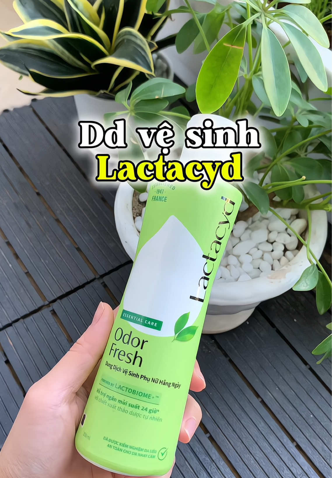 Dung dịch vệ sinh Lactacyd #dungdichvesinh #lactacyd 