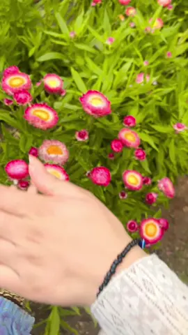 #creatorsearchinsights ##kathmandumuser #viralvideo @Crazy smile ❤️ miss you dear 💝💝💝😭