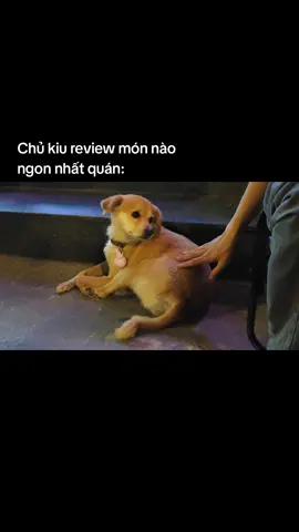 món này ngon nè khách iuuuu 🫶