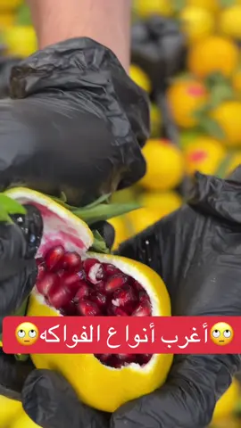 أغرب أنواع الفواكه😳🤕#خضار_فواكه #فراوله🍓🍓🍓🍓🍓 #food #stroberi #كرمنتينا🍊 بوكسات 