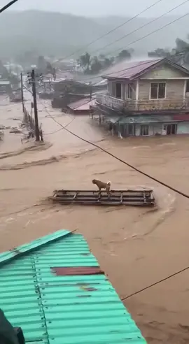 Kamu pikir sudah tahu arti bencana besar? Topan super ini akan membuatmu berubah pikiran.