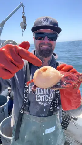 Sea Anemone #fishing #friendliestcatch #anemone 