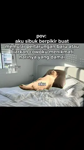 ga rela banget cowo hidup damai🥰 #meme #memekucing #kiyotakiiii #fyp #kucinglucu 