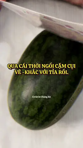 TEM TẾT 2026_ Zeplao: 0/9/6/2/2/0/6/2/1/8#xuhuong #têtsumvầy #trend 