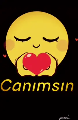 #catsoftiktok #challenge # #challenge 