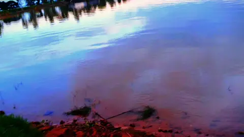 Chill  #miềntây #quêhươngtôi #đồngruộng 