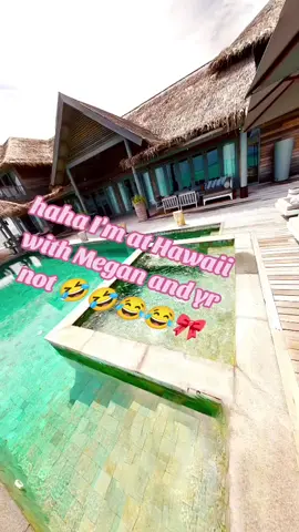 아 매력 소ㅑㄴ#hawaii#megan@meganskiendiel #notmegan