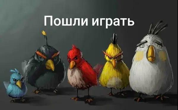 обрыганы #птички #друзья 