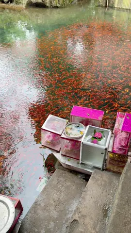 Nay con đủ duyên con về với cô ❤️. 