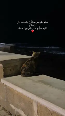 #صلوا_على_رسول_الله #اجر_لي_ولكم_ولوالدينا_وللمسلمين 