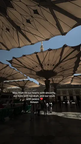 say ameen 🥹❤️ #elwisemuslim #islamicreminders #islamicquotes 