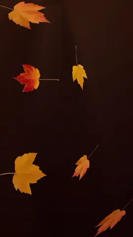 JAN HAZIR HAI MUSTAFA KE LIYE NAAT 💞❤️🥰🌹, JUMMA MUBARAK MASHALLAH ❤️🥰🌹