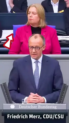 Rentner unter Druck: Warum ein einziger Satz das Land aufwühlt #merz#deutschlandnews#nachrichten#aktuell#news Satirischer Beitrag， keine realen Aussagen