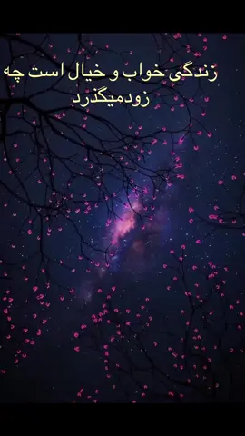 زندگی خواب  و خیال است#افغانستان🇦🇫 #afghanistan🇦🇫 #fyp #تاجک__اوزبگ__پشتون__هزاره__ترکمن 