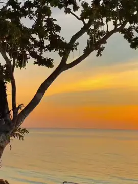 😆#lewatberandafypシ #katakatamanado #storysulut #ktgcubexx🔥 #fyppppppppppppppppppppppp 