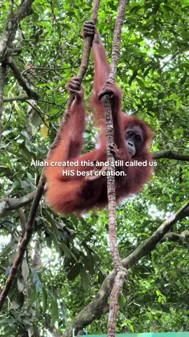 Soubhan’الله 🤲🏼🌏✨#fyp #foryou #travel #fypシ゚ #الله 