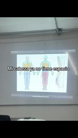 Mi cerebro intentando entender como funciona 🧠🫀                       #anatomia #medicina #cuerpohumano #anatomy #paramedico 