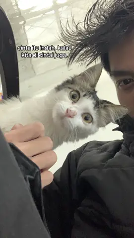 kapan ya punya seseorang yang bersyukur miliki kita?. #fyp #question #fotolive #fypage 