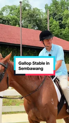 Gallop Stable is now in Sembawang, open for riding lessons and joy rides!🐴 📍 8 Admiralty E, S759991