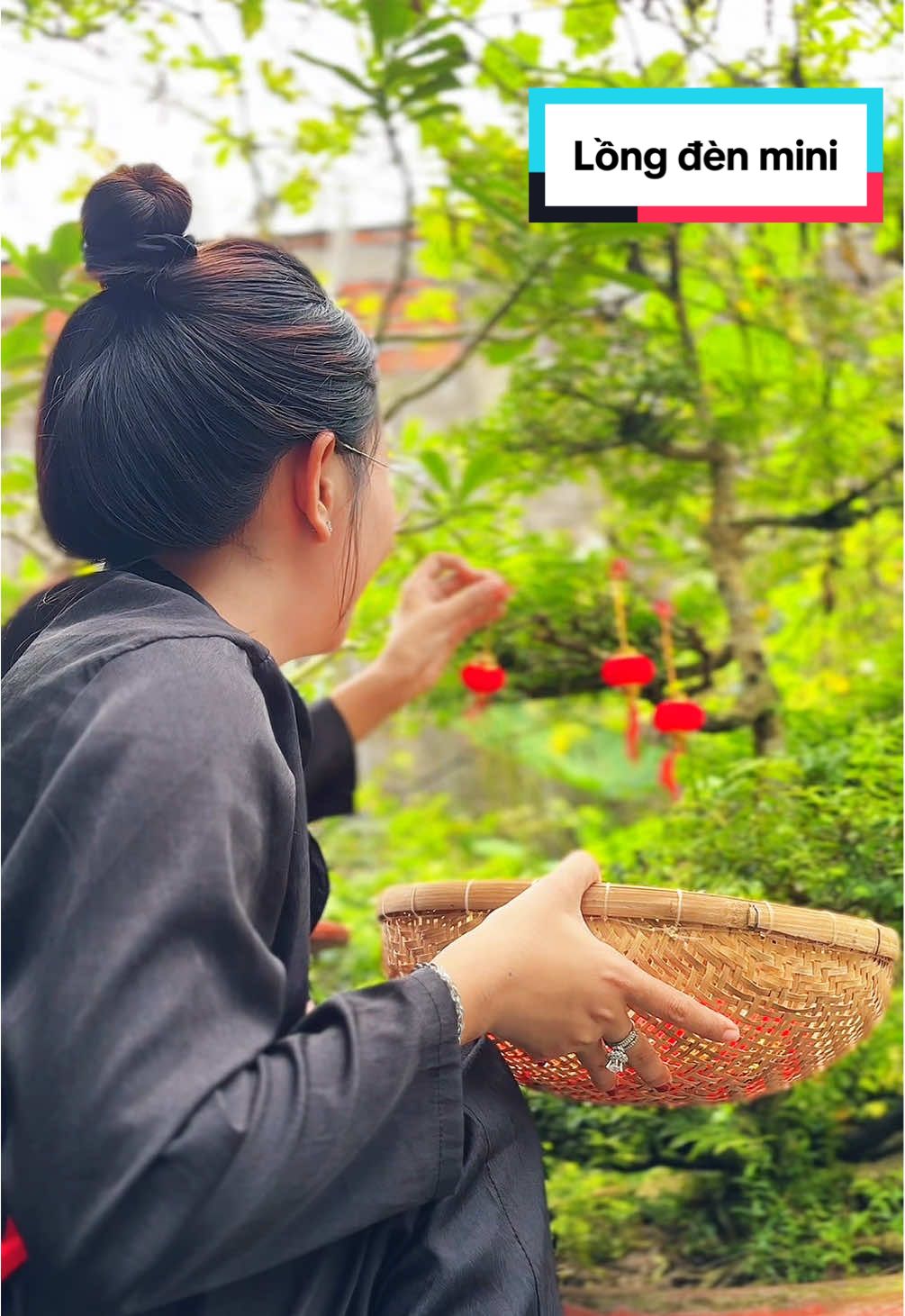 Combo Lồng đèn đỏ mini treo lên cây mai, cây quất quá là đẹp luôn á#longdendotrangtri #longdendo 