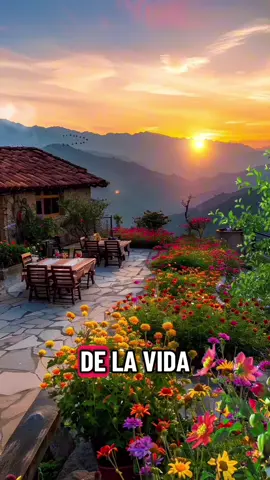 #vida #reflexiones #pensamientos #proceso #motivation 